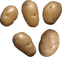 Potato Png Images