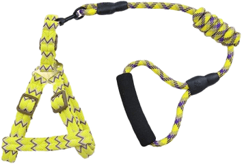 Gold Dog Chain Png Image All - Skipping Rope