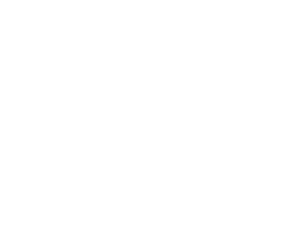 Michael Schumacher Shoe Speedline Ii - Vertical Png