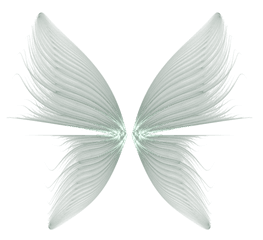 Download Angel Halo Png For Kids - Transparent Background Wing Png