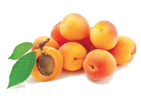 Apricot Photos - Free PNG