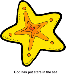 Sea Stars - Clip Art Png