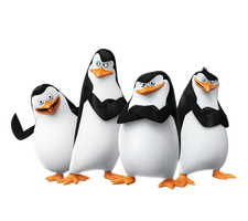 Kowalski Madagascar Penguins Skipper Film Penguin - Free PNG