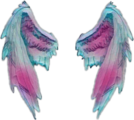 Angel Wings Png Download - Angel Wings Painting Street Art