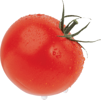 Tomato Png Image