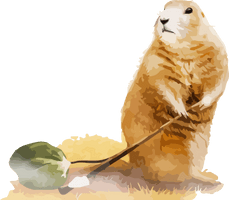 Groundhog Day Animal Figure Seal Earless For Eve Party - Free PNG