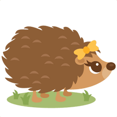 Library Of Cute Hedgehog Clip - Cute Hedgehog Clipart Png