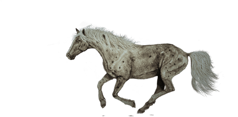 Horse Running Painting - Horse Run Riding Drawing Png