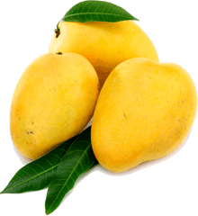 Mango Png Transparent File - Alphonso Mango Png