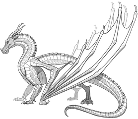 Realisticn Coloring Pages Skywings In Page Wings Of Fire - Realistic Dragon Coloring Pages Png