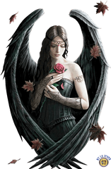 Download Dark Angels Fallen - Anne Stokes Angel Rose Png