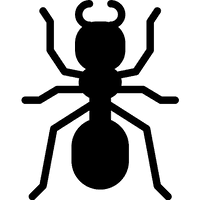 Ant PNG Free Photo