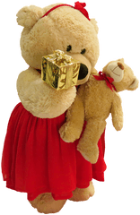 Emotions Memory Stuffed Animal - Teddy Bear Png