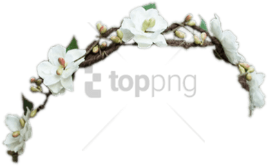 Download Free Png Black Flower Crown Transparent - Wisteria