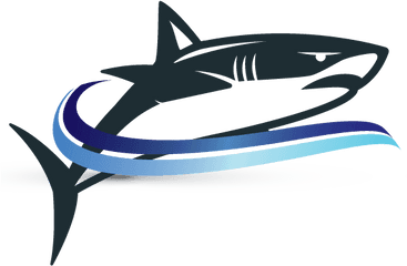 Shark Logo - Great White Shark Png