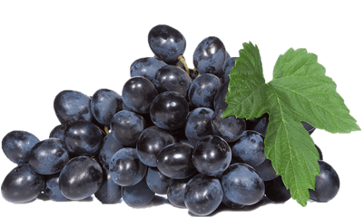 Black Grapes Png Image Download