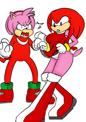 Amy And Rouge Clothes Swap - Sonic Rouge Body Swap Png