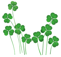 Plant Leaf Ireland Patrick Day Saint Holiday - Free PNG