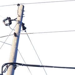 Telephone Pole Transparent - Telephone Poll No Background Png