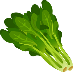 Spinach Png - Green Leafy Vegetables Clipart