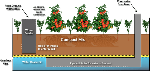 Wicking Bed Gardens - Bed Wicking Beds Garden Beds Taproots And Fibrous Roots Png