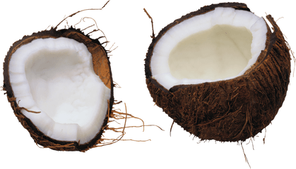 Coconut Png Image - Coconut