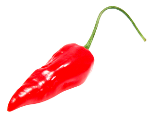 Red Chili Pepper Png Image - Red Chili Pepper Png