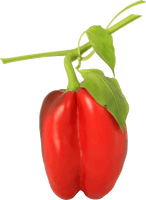 Pepper Leaves Red Bell Free PNG HQ