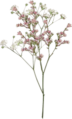 Download Pngs Like Or Reblog If Used - Aesthetic Vintage Aesthetic Flower Sticker Png