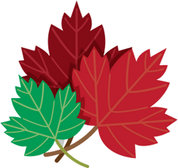 Red And Green Maple Leaves Png Image - Maple Leaves Drawing