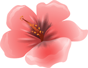 Pink Clipart Flowers Png Transparent