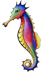 Download Seahorse Drawing Colorful - Northern Seahorse Png Seahorses