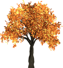 Tree Png Images Quality Transparent - Transparent Background Autumn Tree Clipart