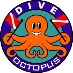 About - Octopus Dive Nusa Penida Png