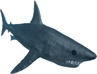 Shark - Whatever Floats Your Boat Roblox Shark Png