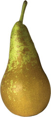 Download Bosc Pears 3 Units - Paron Arkansas Png Image With Saba Banana