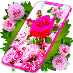 Pink Rose Live Wallpaper 3d Roses 4k Wallpapers - Rose Hd Png