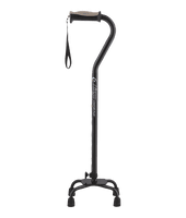 Walking Stick Download HD Image Free PNG