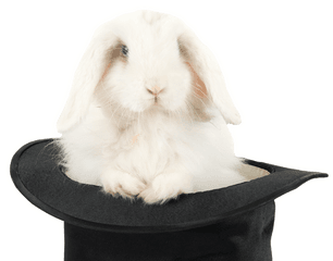 Download Magic Bunnies - Magician Rabbit Png Png Image With Bunny Magic