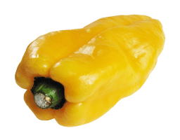 Chilli Pepper Yellow Bell PNG Download Free