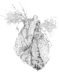 Drawing Tumblr Heart Blog - Heart Png Download 600611 Png Heart Flower Drawing