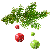 Fir Ornament Tree Day Year Christmas - Free PNG