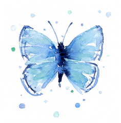 Blue Watercolor Butterfly T - Shirt Blue Butterfly Watercolor Png