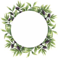 Olive Leaf Frame In A Watercolor Style - Download Free Olive Leaf Vector Png