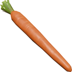 Carrots Png