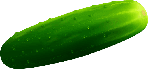 Single Cucumber Png Free Download - Spreewald Gherkins