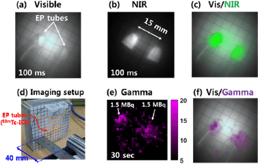 Simultaneous Images - Visible Nir Png