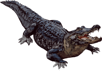 Alligator Transparent Background - Alligator Transparent Background Png