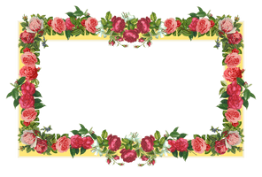 Red Flower Frame Photos - Free PNG