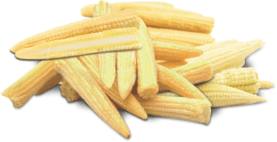 Baby Vegetable Corn Cobs Free Download PNG HD